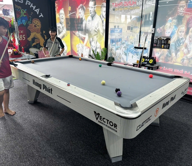 Mr Sung pool table