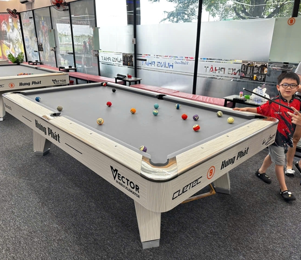 Mr Sung pool table