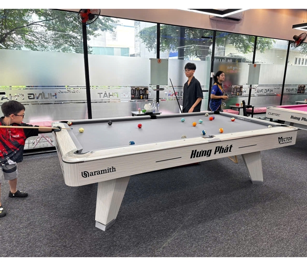 Mr Sung pool table