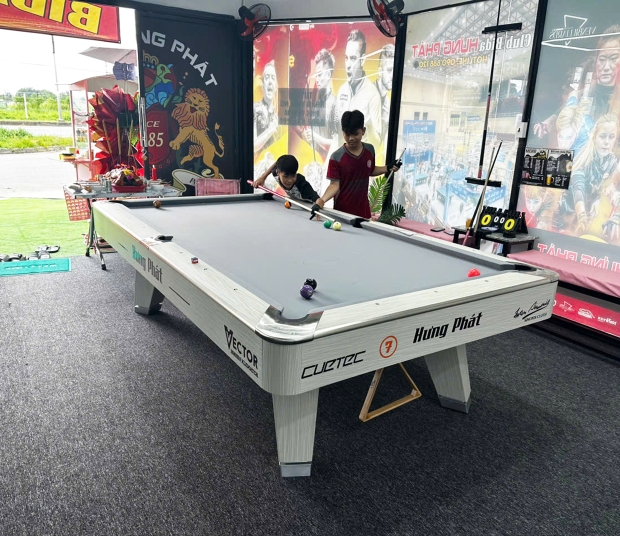Mr Sung pool table