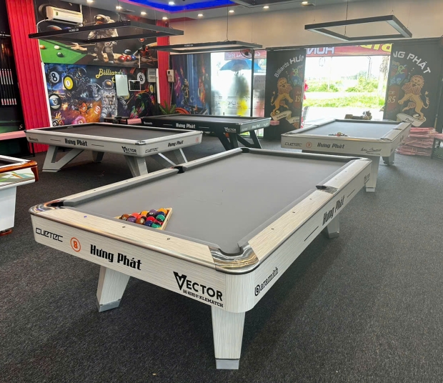 Mr Sung pool table