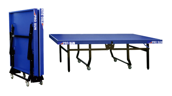 Mẫu Bàn Ping Pong